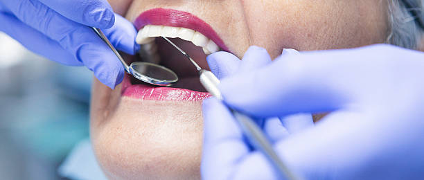 Best Urgent Dental Care in Shell Valley, ND